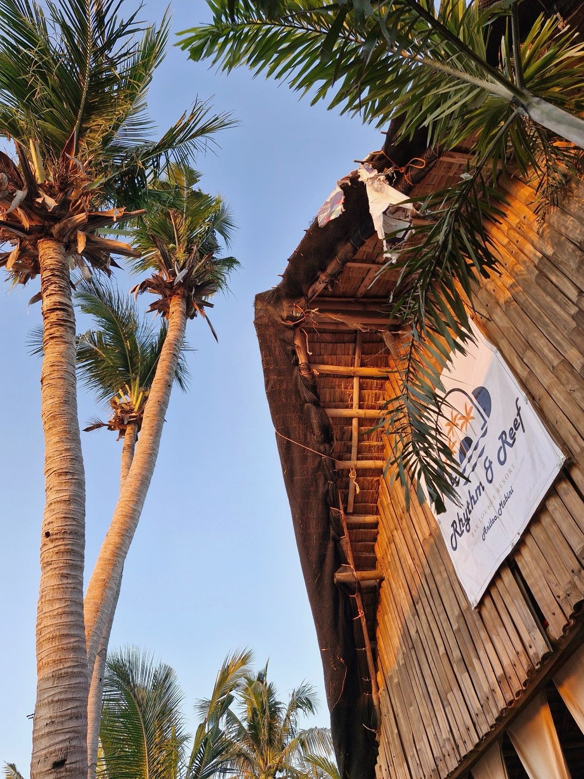 Tall palm trees framing the Rhythm & Reef wooden signage under a clear tropical sky